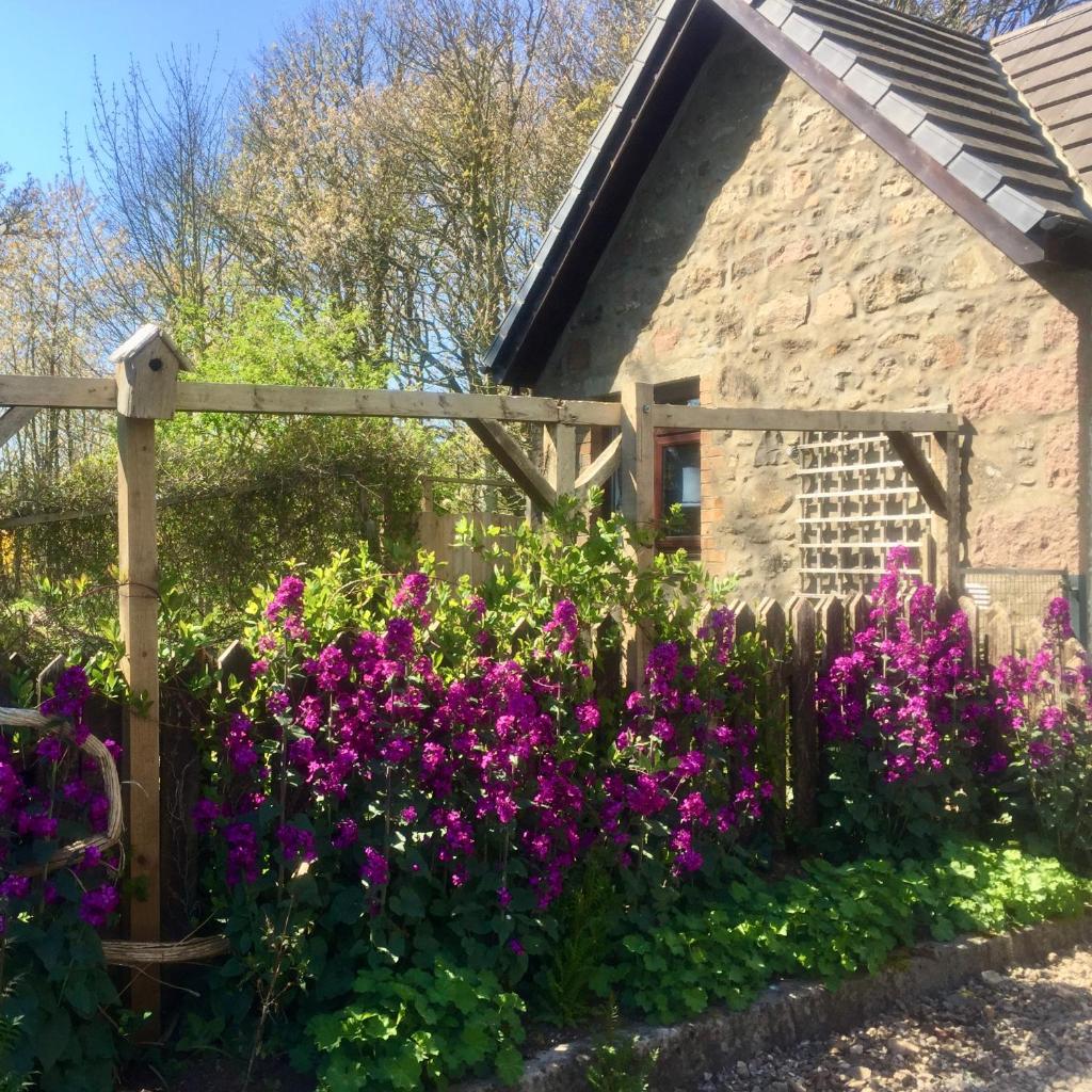 Gallery Cottage (Aberdeen) 