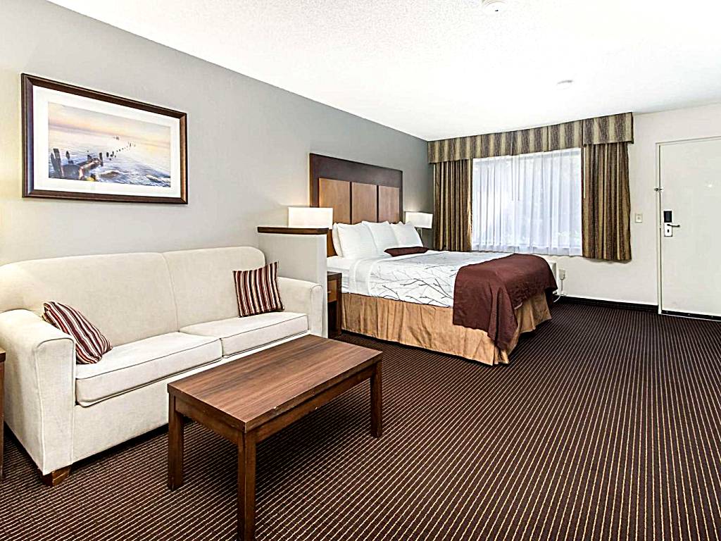 Best Western Plus Holland Inn & Suites: King Suite - Non-Smoking