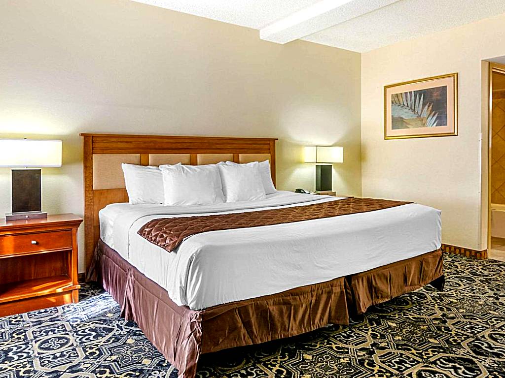 Quality Inn Idaho Falls: King Room - Non-Smoking