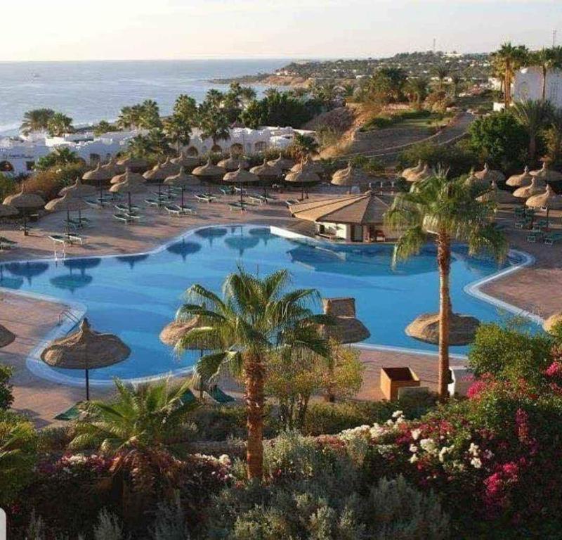 Domina Coral Bay Resort Studio - Sharm El Sheikh
