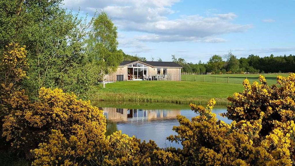 Fern Lodge - Luxury Lodge with steamroom in Perthshire