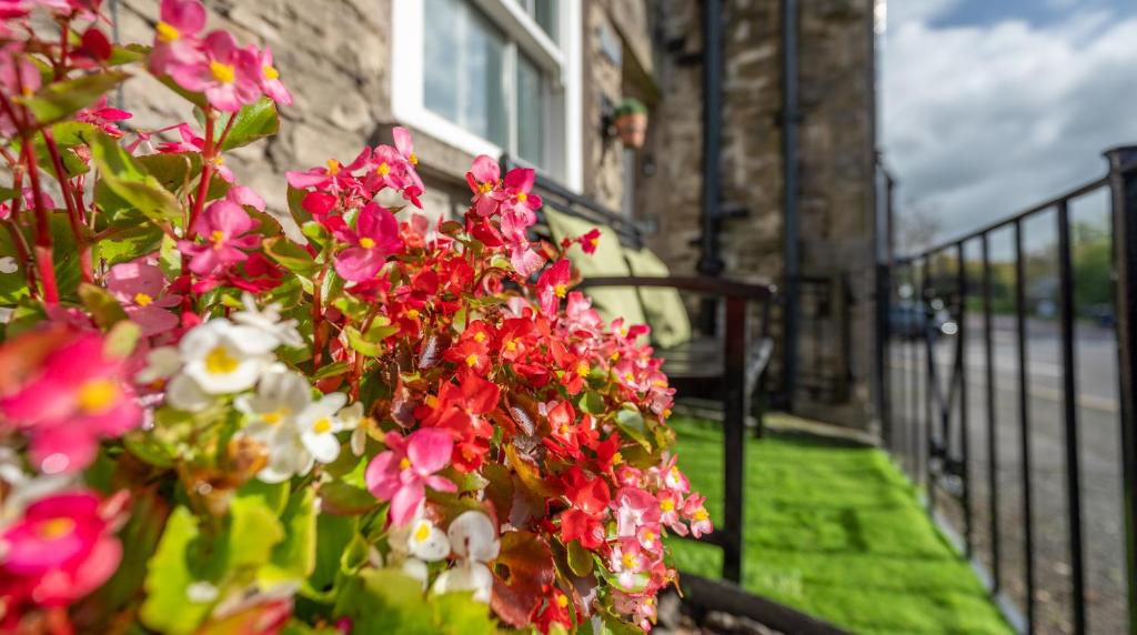 Wee Toad Hole Heart of Kendal - Cottage sleeps 4-6 - Dogs Welcome