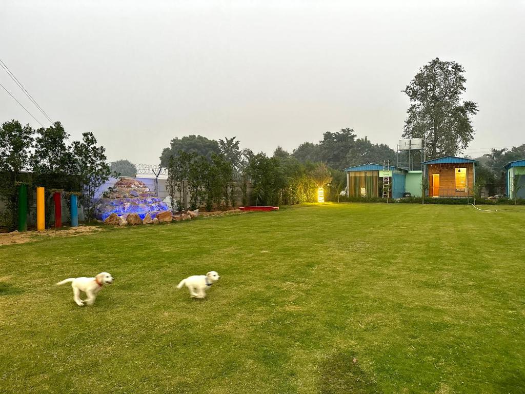 Farm house with 5 beautiful huts heated pool for party