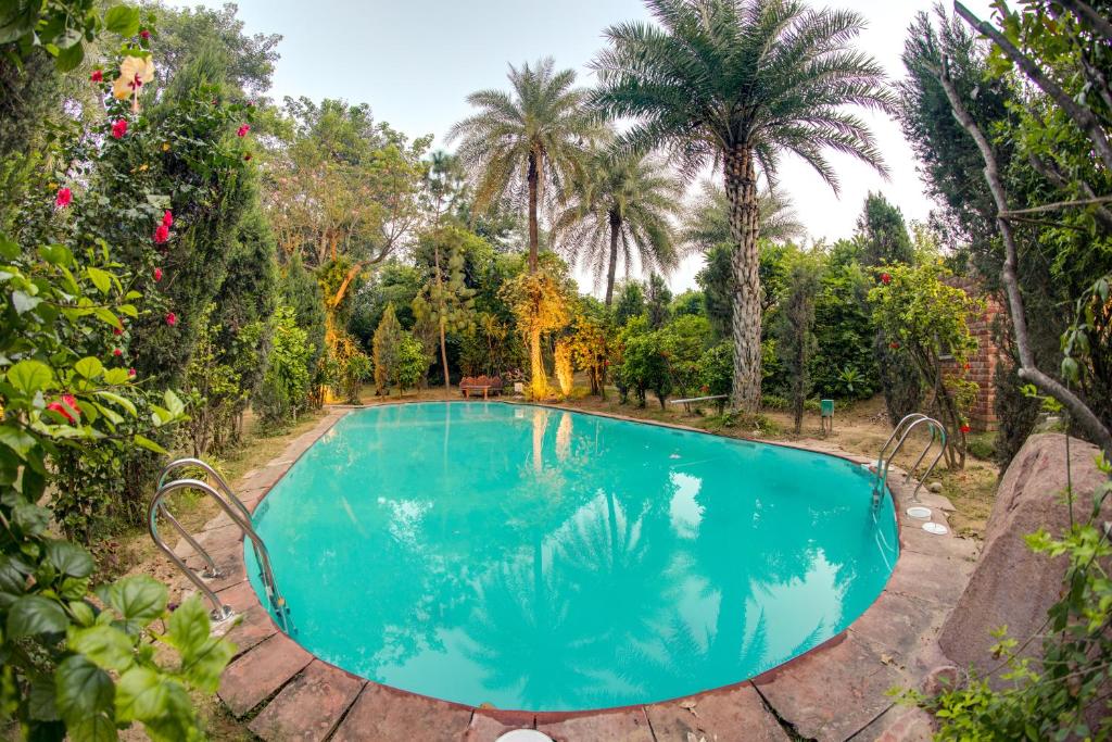 Hostie Chinar Haveli - Heritage home with Pool, Gurgaon